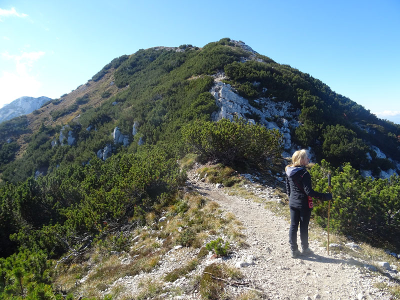 Cima delle Pozzette  m.2132 - Gruppo del Monte Baldo (VR)